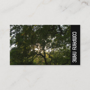 Carte De Visite Bande latérale - Branches japonaises 04