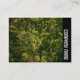 Carte De Visite Bande latérale - Branches japonaises 05