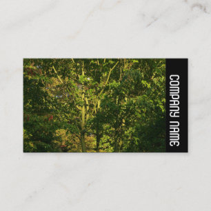 Carte De Visite Bande latérale - Branches japonaises 05