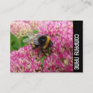 Carte De Visite Bande latérale - Bumble Bee sur Sedum