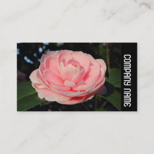 Carte De Visite Bande latérale - Camellia rose