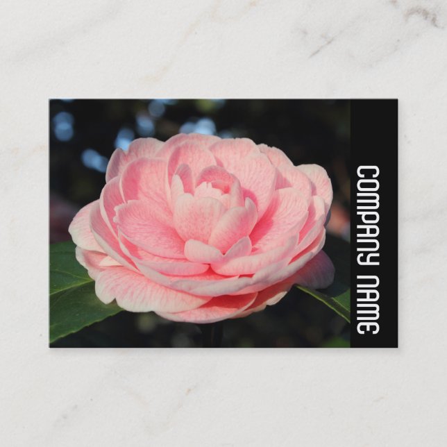 Carte De Visite Bande latérale - Camellia rose (Devant)