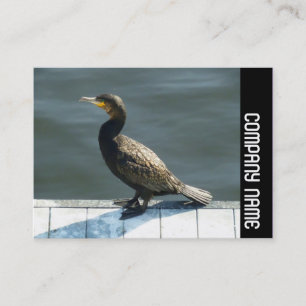 Carte De Visite Bande latérale - Cormorant