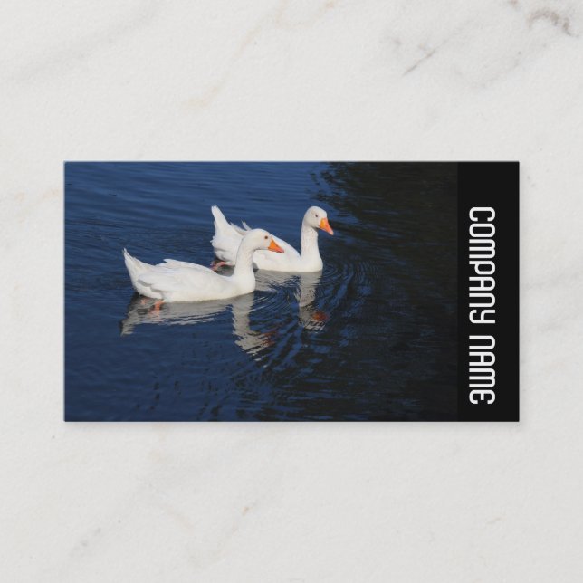 Carte De Visite Bande latérale - Emden Geese (Devant)