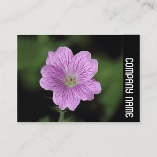 Carte De Visite Bande latérale - Geranium Endressii