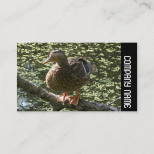 Carte De Visite Bande latérale - Joyeux canard
