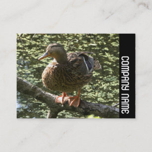 Carte De Visite Bande latérale - Joyeux canard