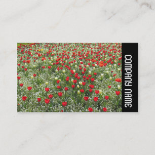 Carte De Visite Bande latérale - Lit de tulipes