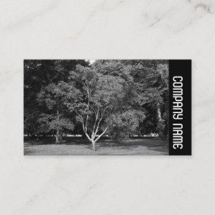 Carte De Visite Bande latérale - Magnolia Tree BW