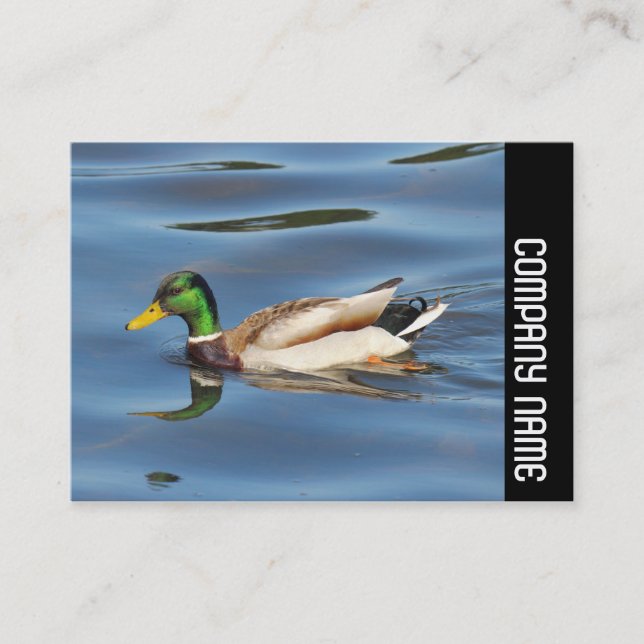 Carte De Visite Bande latérale - Mallard Duck (Devant)