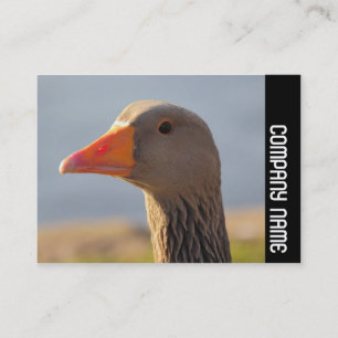 Carte De Visite Bande latérale - Oie curieuse