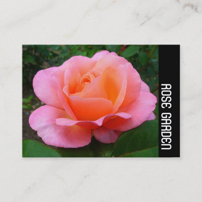 Carte De Visite Bande latérale - Rose rose (Devant)