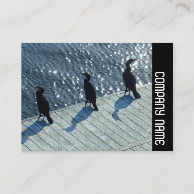 Carte De Visite Bande latérale - trois cormorans (Devant)