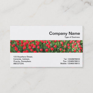 Carte De Visite Bande médiane - Lit de tulipes rouges 01