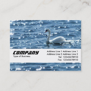 Carte De Visite Bande textuelle - Cygne