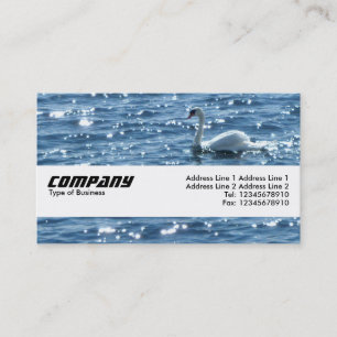 Carte De Visite Bande textuelle - Cygne