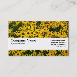 Carte De Visite Bande V2 - Susans Noir-eyed de texture