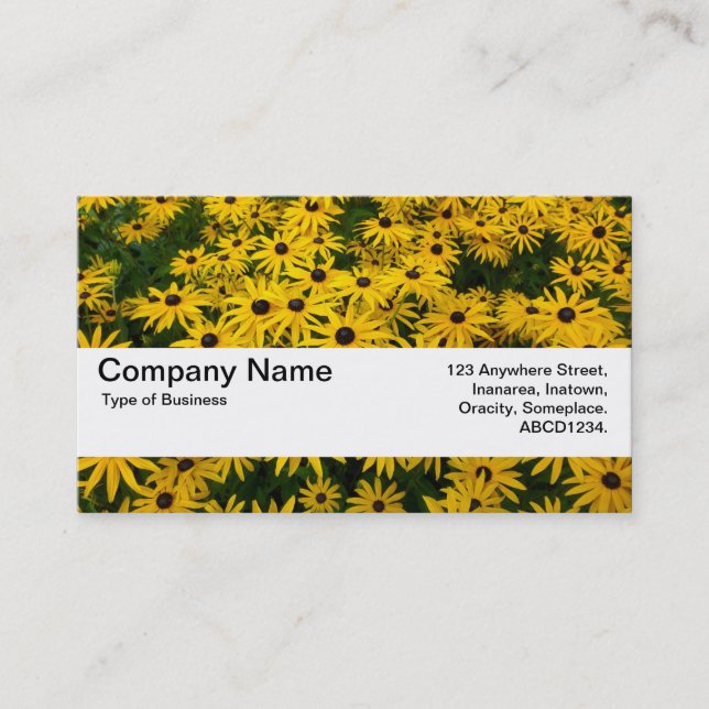 Carte De Visite Bande V2 - Susans Noir-eyed de texture (Devant)