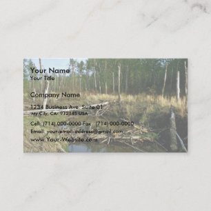 Carte De Visite Barrage de Beaver