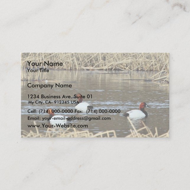 Carte De Visite Barrage de Canvasback (Devant)