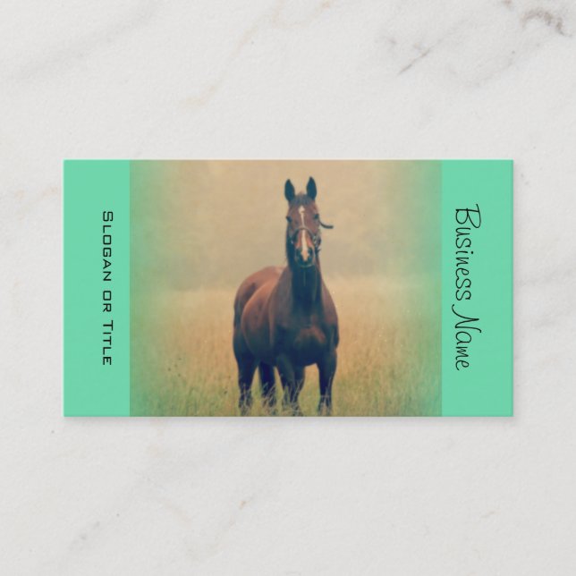 Carte De Visite Bay Horse Standing (Devant)