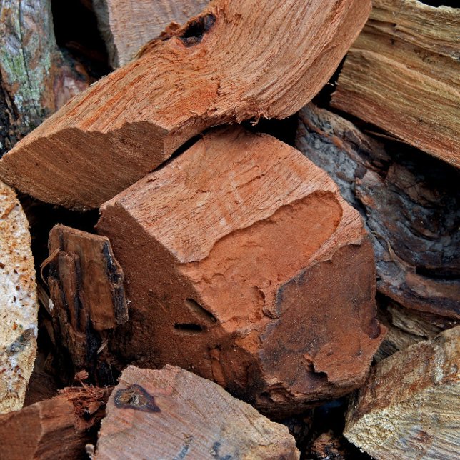 Carte De Visite BBQ Fumer Bois Chêne Hickory Cherry (Créateur téléchargé)