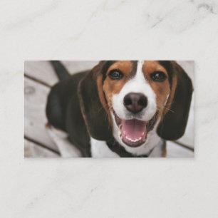 Carte De Visite Beagle_puppy assis