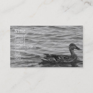 Carte De Visite Beau canard femelle de Mallard