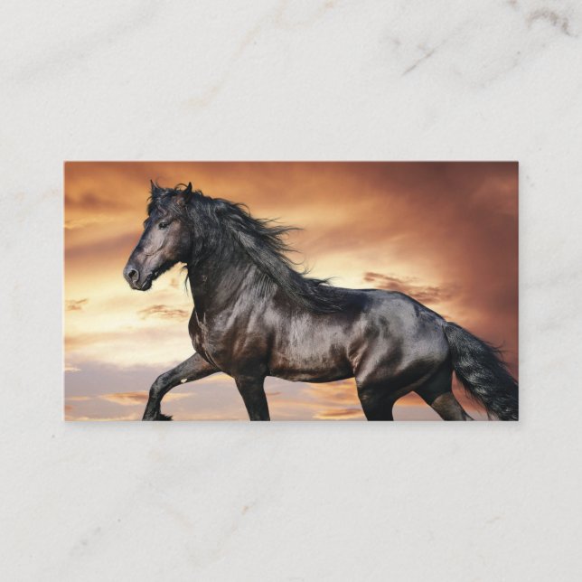 Carte De Visite Beau Cheval Noir (Devant)