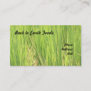 Carte De Visite Beau gisement vert luxuriant de riz