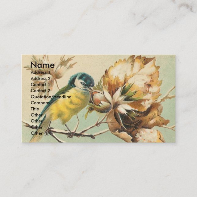 Carte De Visite Beau oiseau Vintage (Devant)