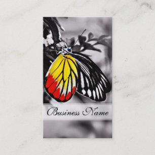 Carte De Visite Beau Papillon