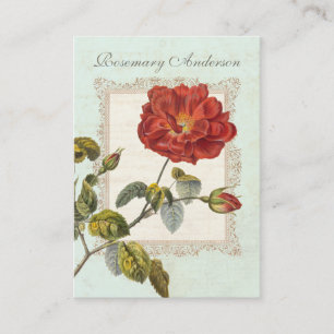 Carte De Visite Beau rose rouge vintage pour le jardinier