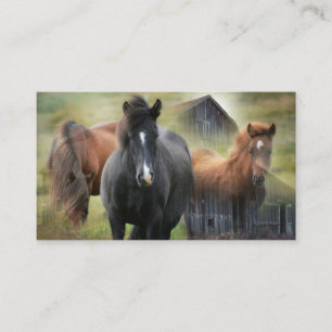 Carte De Visite Beaux chevaux et grange rustique