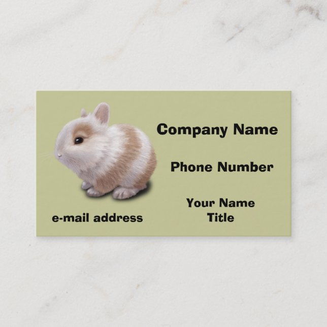 Carte De Visite Bébé Lapin (Devant)