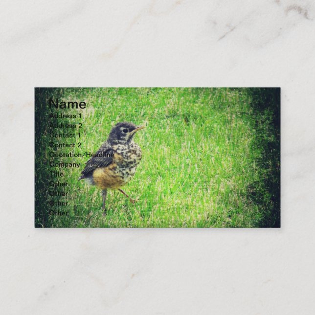Carte De Visite Bébé Robin (Devant)