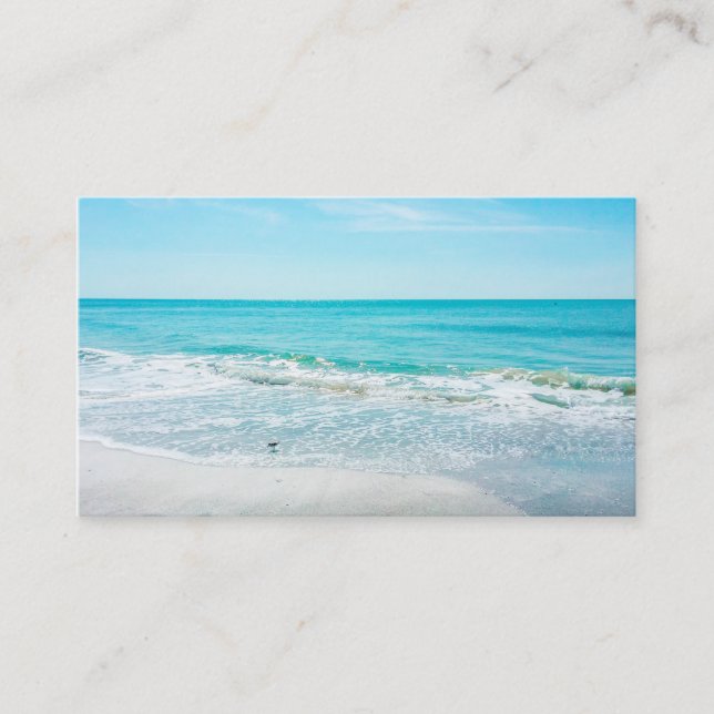 Carte De Visite Bécasseau de sable de Floride (Devant)