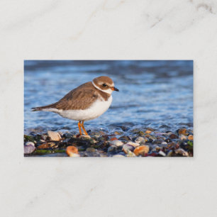 Carte De Visite Belle balançoire semi-palmée à la plage