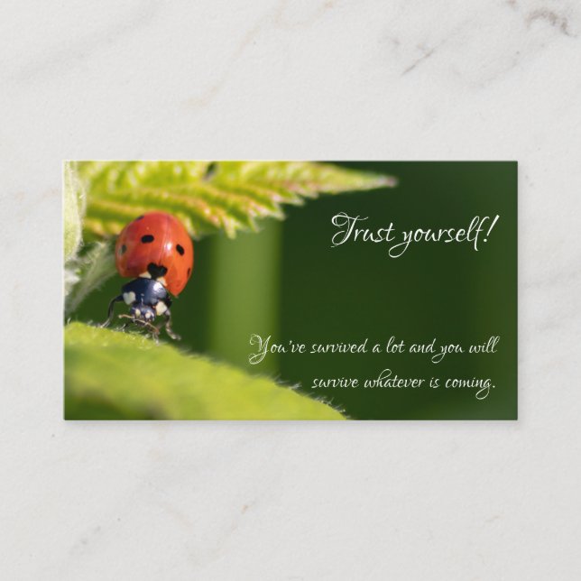 Carte De Visite Belle coccinelle avec citation motivante (Devant)