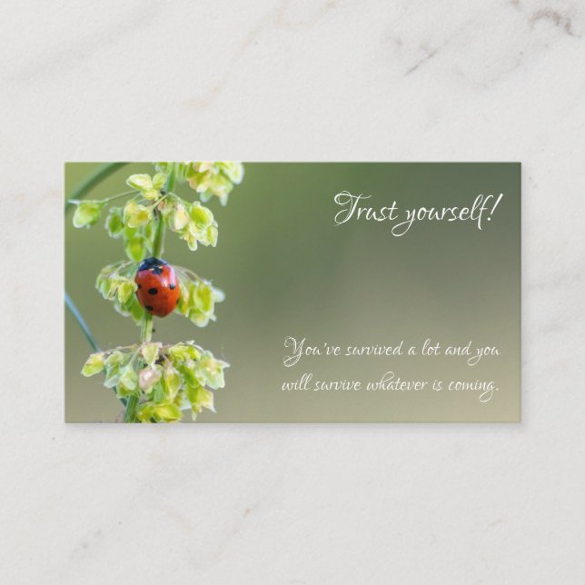 Carte De Visite Belle coccinelle avec citation motivante (Devant)