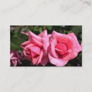 Carte De Visite belle double parfait rose rose chaud fleurs