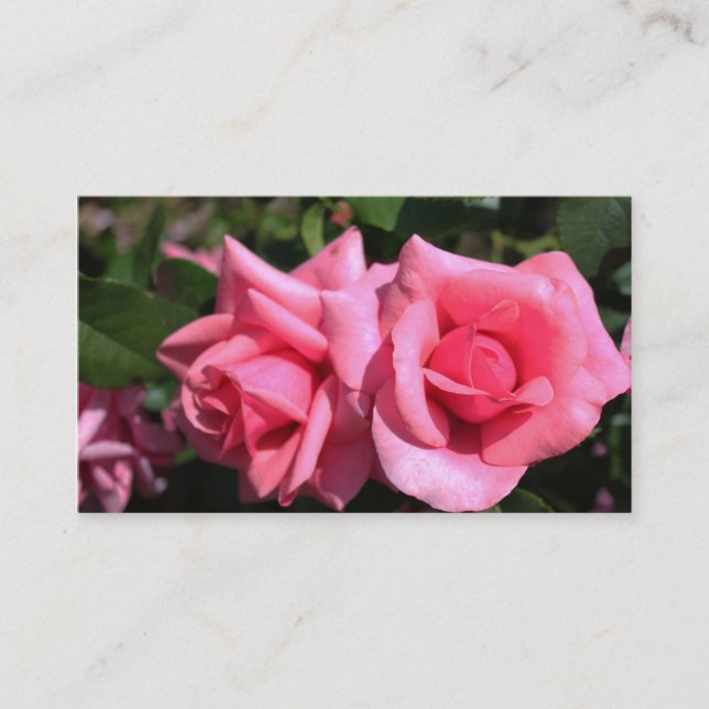 Carte De Visite belle double parfait rose rose chaud fleurs (Devant)