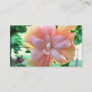 Carte De Visite Belle fleur d'Hibiscus jaune, orange et rose