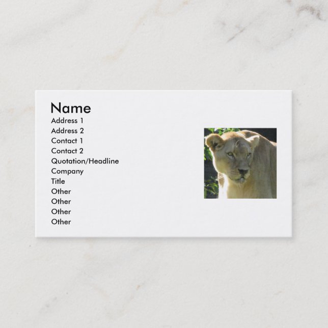 Carte De Visite Belle lionne (Devant)