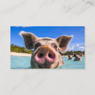 Carte De Visite Belle natation Cochon Exuma Bahamas