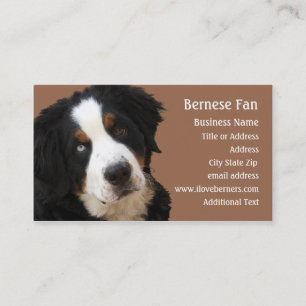 Carte de visite Bernese Mtn Dog - "Lucy"