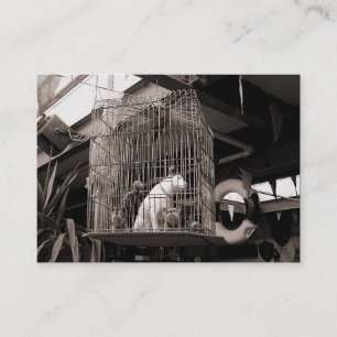Carte De Visite Bêtes en cage, Mini photo