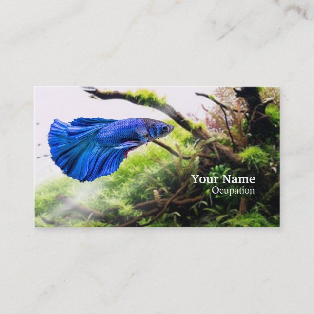 Carte De Visite Betta fish (Devant)