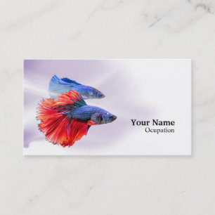 Carte De Visite Betta fish