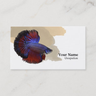 Carte De Visite Betta fish